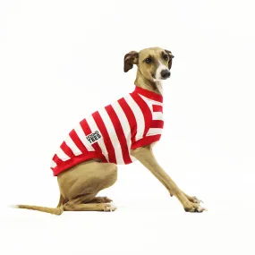 Wally Italian Greyhound Sleeveless Hound-Tee